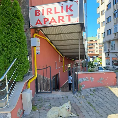Birlik Apart
