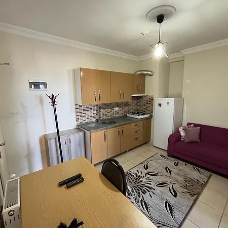 Апартаменты Birlik Apart