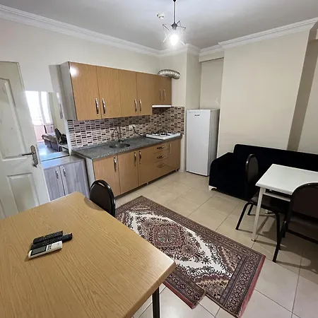 Apartment Birlik Apart *